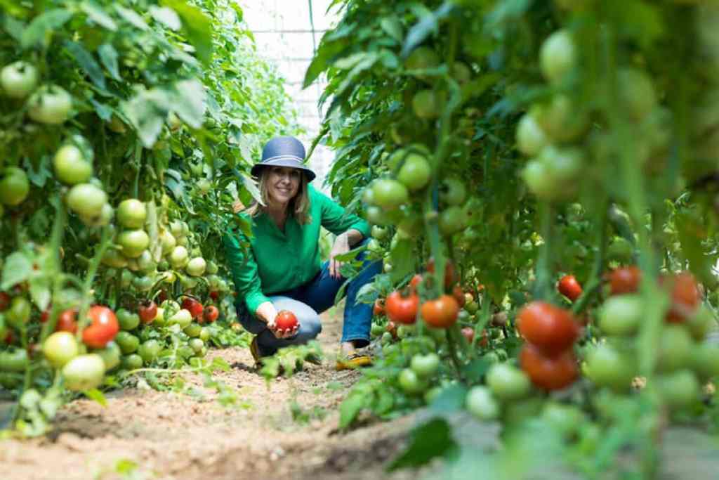 Mihaela Bilic, recomandare: Nu mâncați nimic din ceea ce bunicii voștri n-ar recunoaște ca aliment!