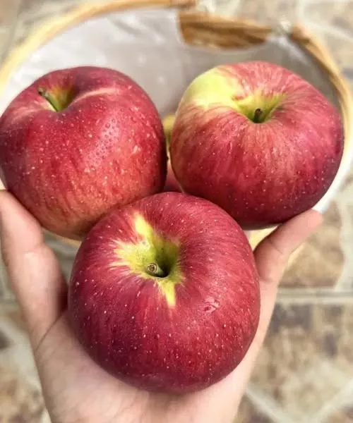Fructul banal care îți curăță sângele și te scapă de riduri. Costă câțiva lei, dar e aur pentru organism!