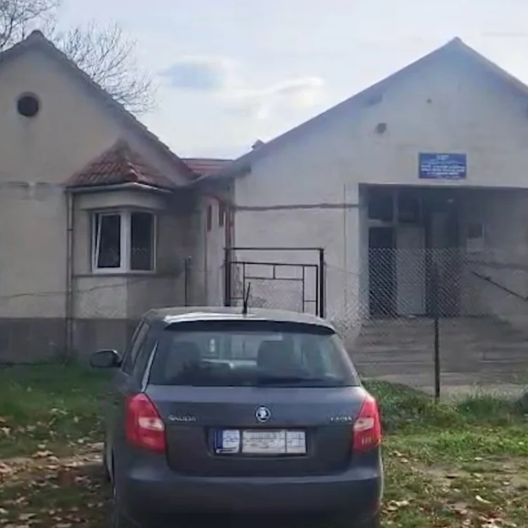 Angajaţii unui centru pentru persoane cu dizabilităţi, filmaţi cum bat cu nuiaua un pacient