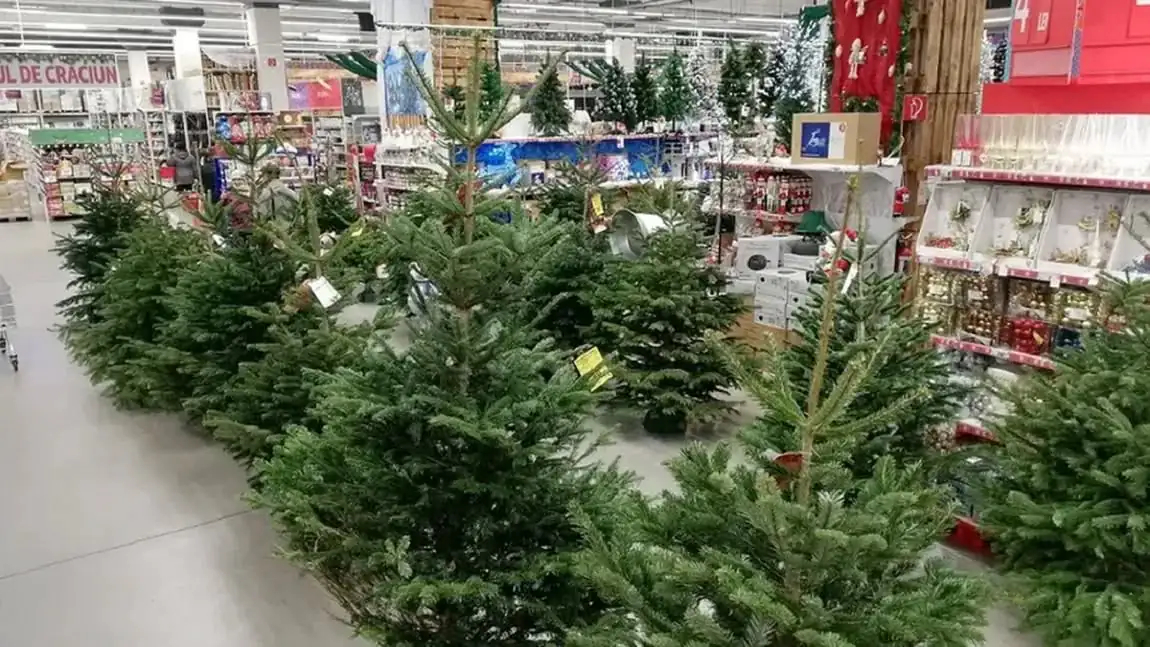 Românii dau mii de lei pe bradul de Crăciun, dar un avertisment le-ar putea strica Sărbătorile
