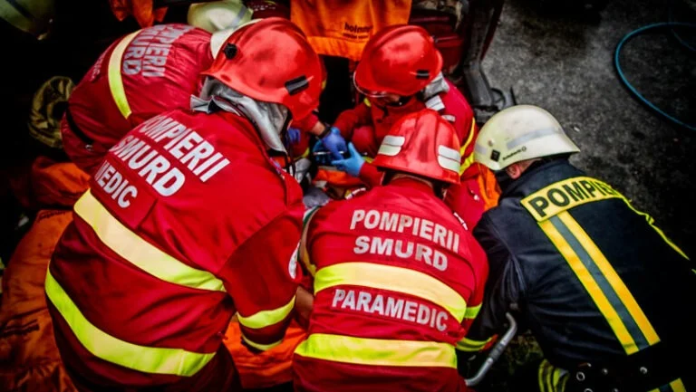 A murit strivit pe loc! Sfârșit terifiant pentru un român de 41 de ani. Ce greșeală a făcut în pădure