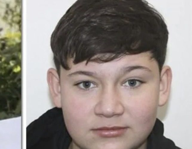 BUNICA suspectului a DEZVĂLUIT de ce băiatul a recunoscut că totul a fost…
