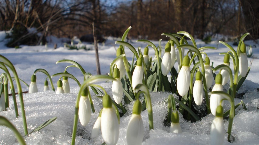 Răsturnare de situație după noaptea de -21 de grade! Vin 10 grade în România, vestea momentului de la meteorologi