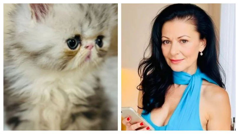 Elena Cârstea se umple de BANI. Suma cerută pentru un singur exemplar este…
