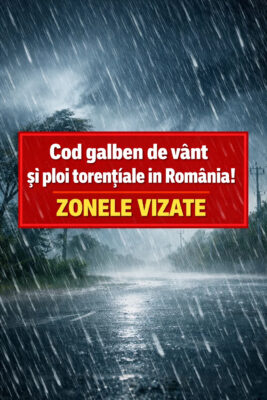 VREMEA se schimbă RADICAL și meteorologii avertizează că vântul va atinge…