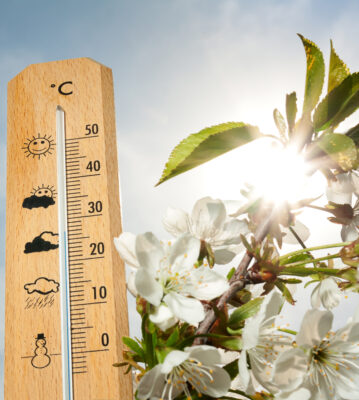 Vremea se SCHIMBĂ RADICAL iar meteorologii avertizează că urmează vijelii și chiar…