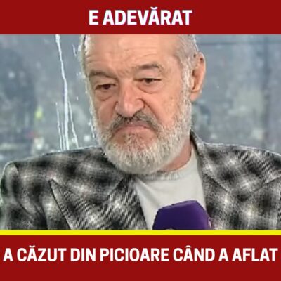 Gigi Becali a RÂS când a aflat că Ioan Niculae vrea să se…