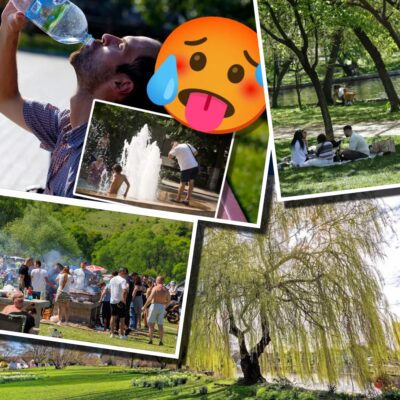 VREMEA se schimbă în luna mai, iar meteorologii anunță că temperaturile vor fi…