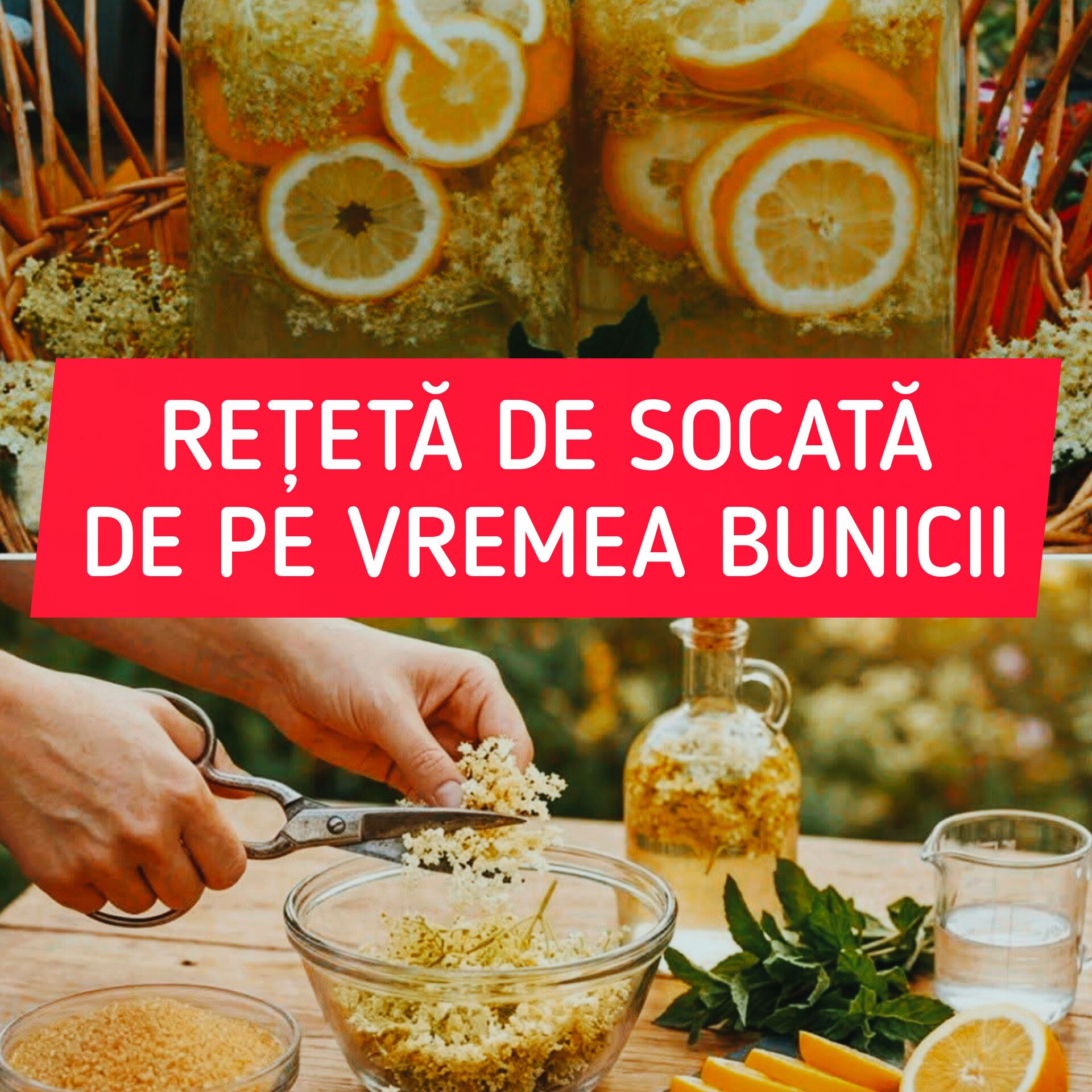 SECRETUL bunicii pentru GUSTUL AUTENTIC al socatei de casă constă în acest…