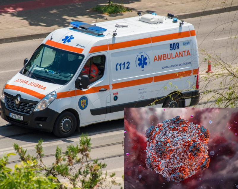 VIRUSUL care a UCIS trei oameni pe o navă se transmite prin…