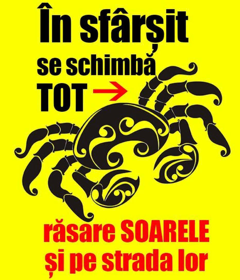 De joi, 8 ZODII primesc vești bune, iar două scapă de probleme cu…
