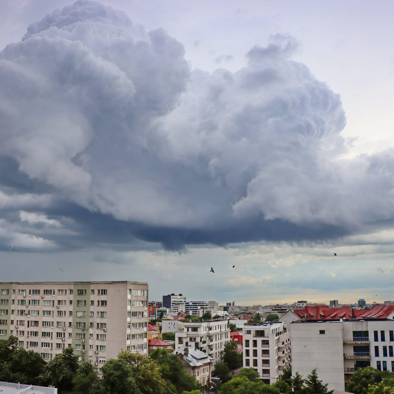 Ministerul Sănătății a emis RECOMANDĂRI CRITICE pentru a te proteja de temperaturile extreme…