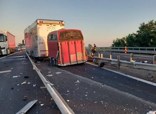 TRAFIC BLOCAT după ce un autotren plin cu animale a intrat în…