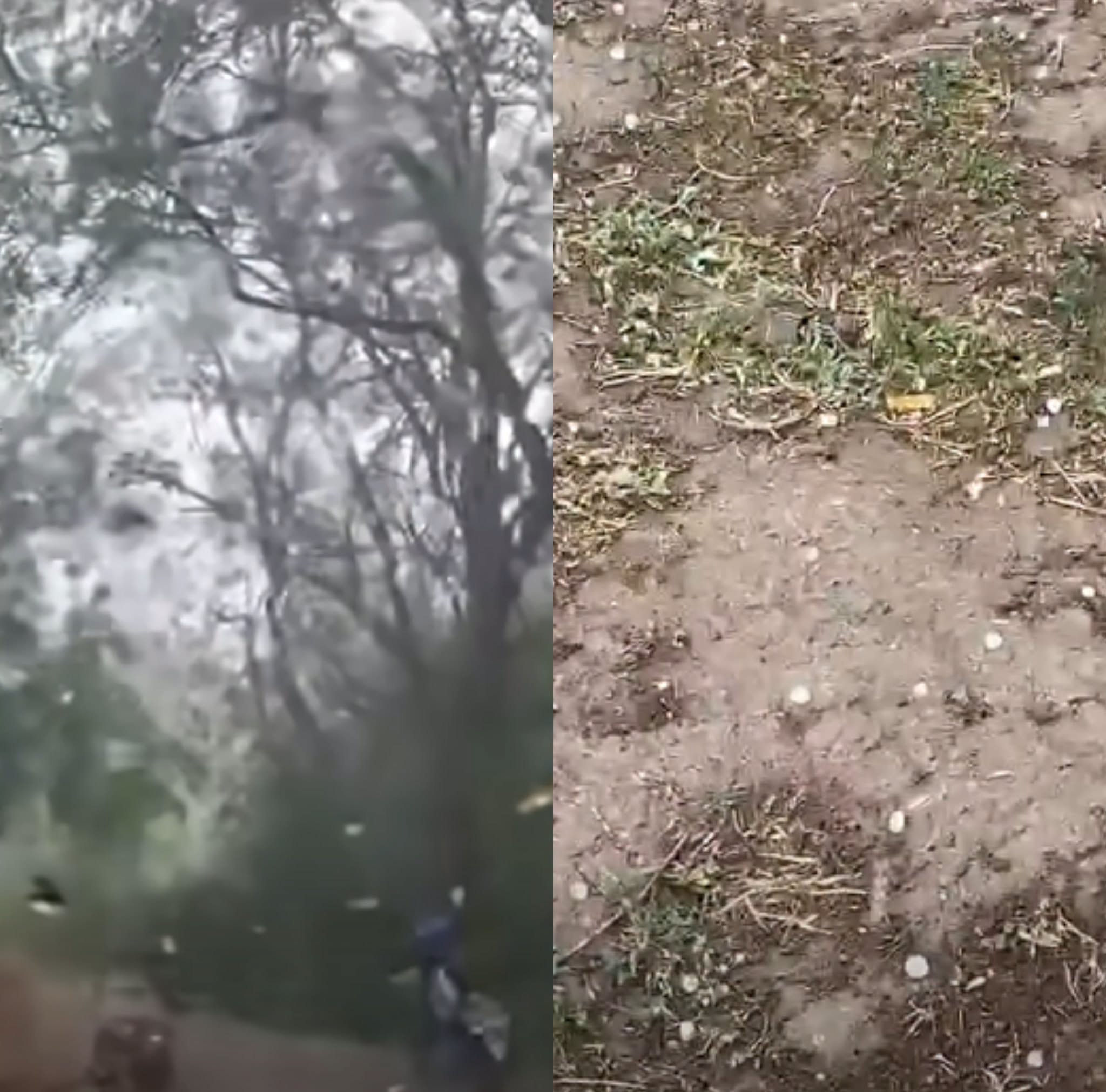 După zile de CANICULĂ, vremea s-a schimbat radical și a început să…