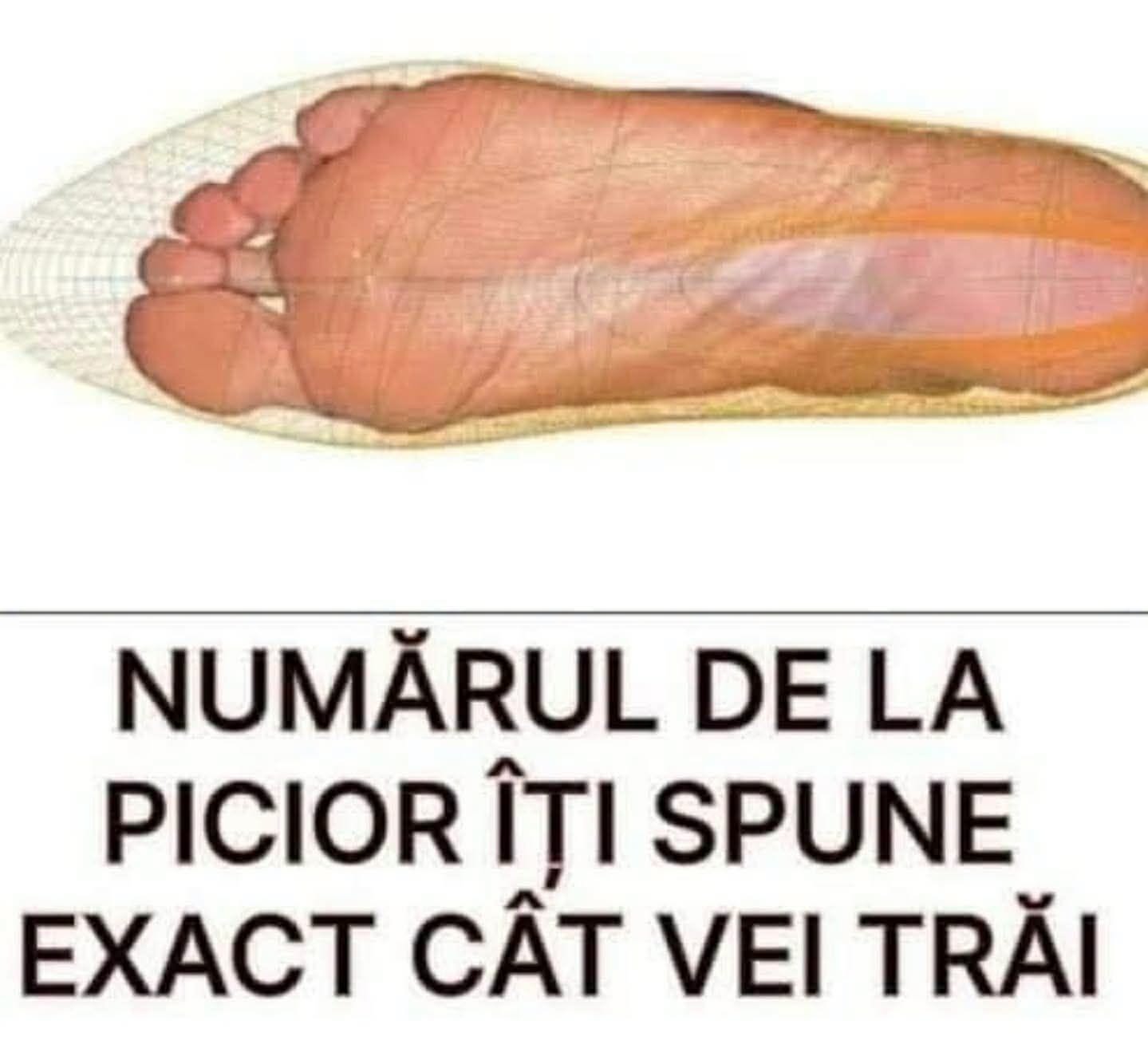 Cât vei trăi în funcție de MĂRIMEA la pantof? Iată ce au descoperit…