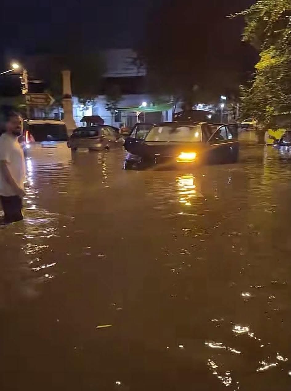 PRĂPĂD după furtună: un bărbat a murit după ce un copac a căzut…