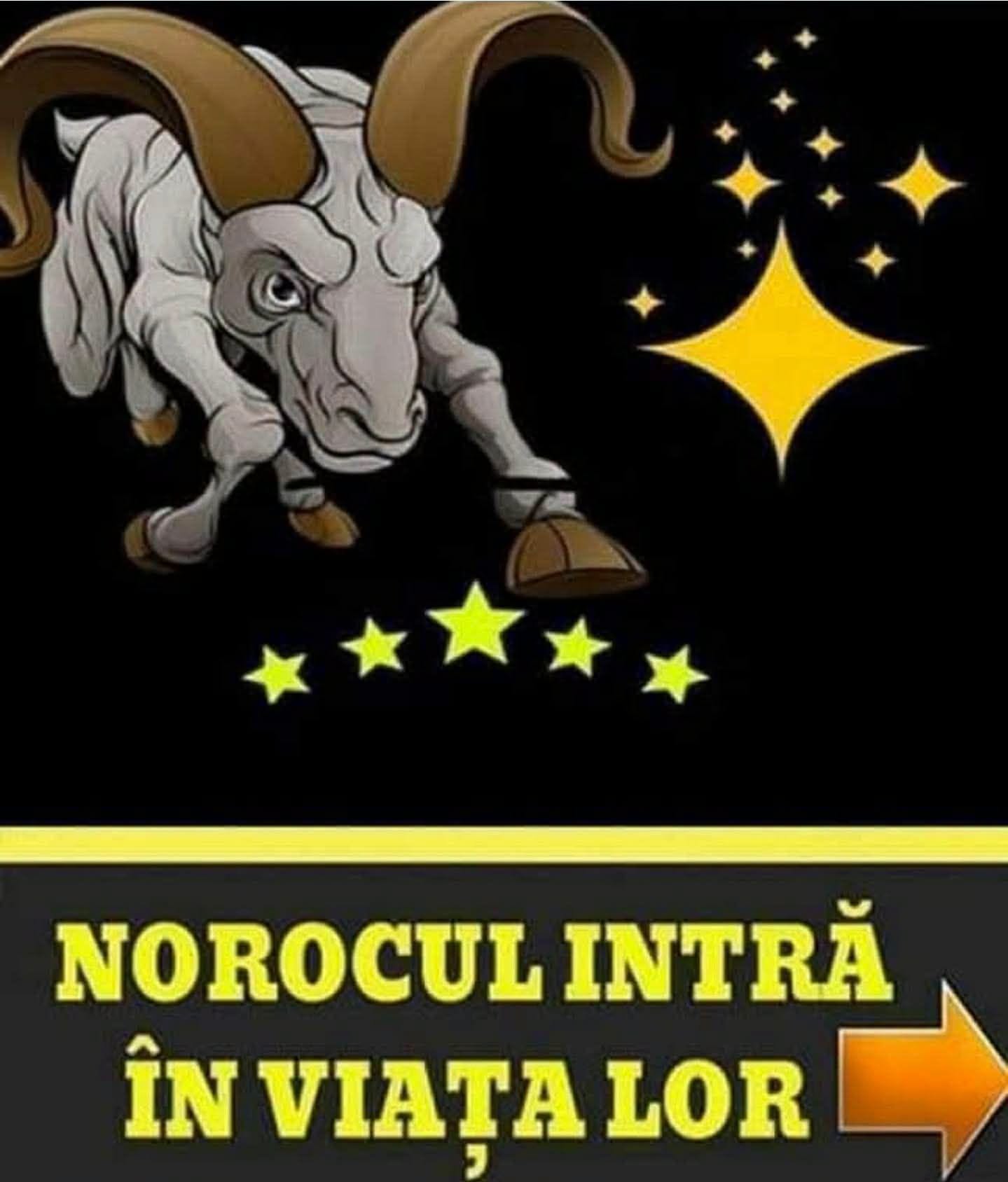 Sfatul zilei 14 iulie 2026. Unele zodii au parte de o zi excelentă