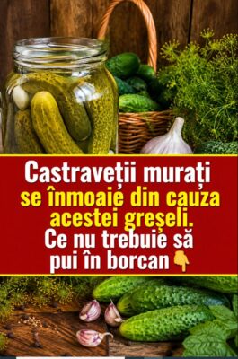 Castraveții murați se înmoaie din cauza acestei greșeli. Ce nu trebuie să pui în borcan!