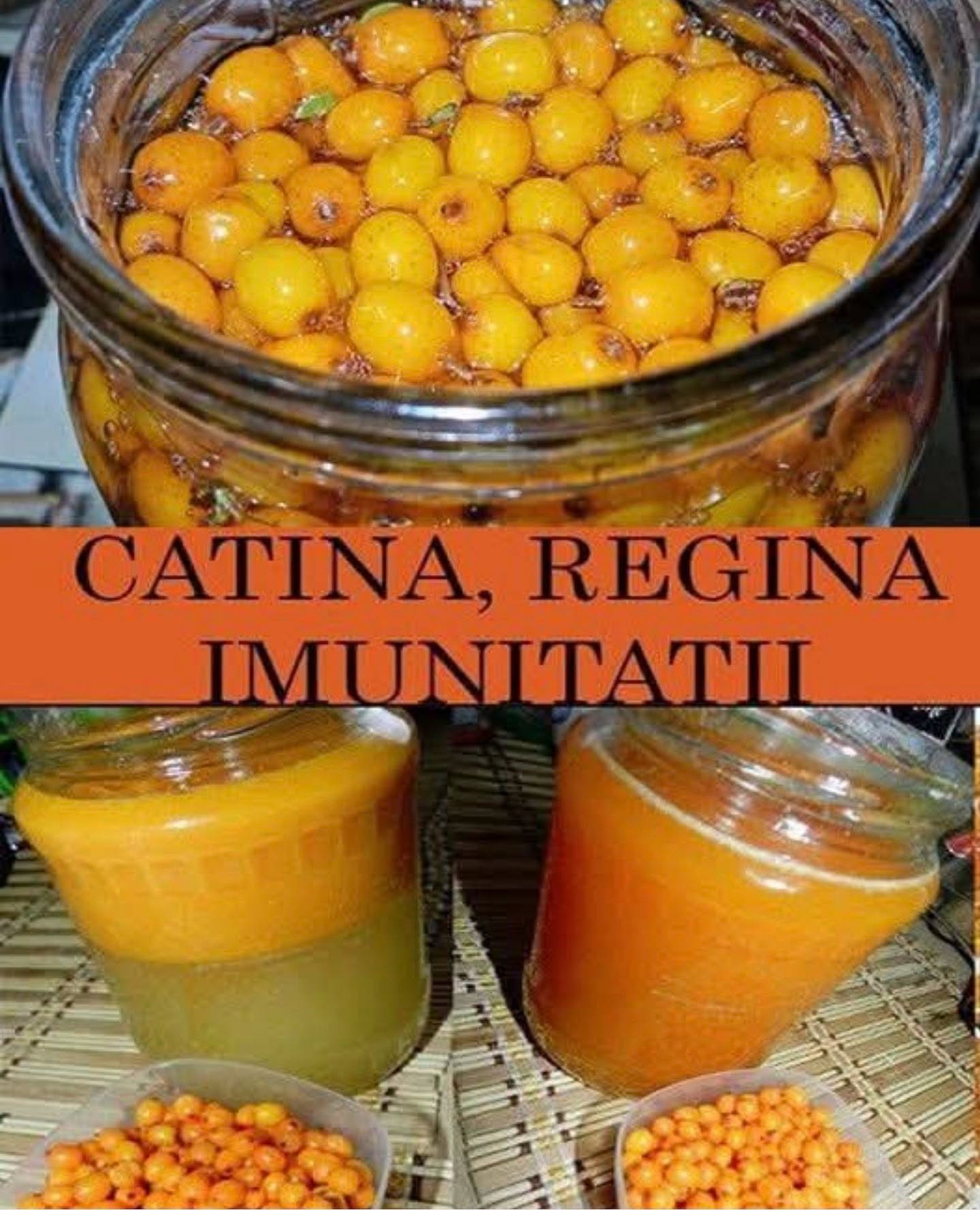 Cine se imprieteneste cu catina toamna, uita de boli toata iarna! Iata cum se prepara acest elixir