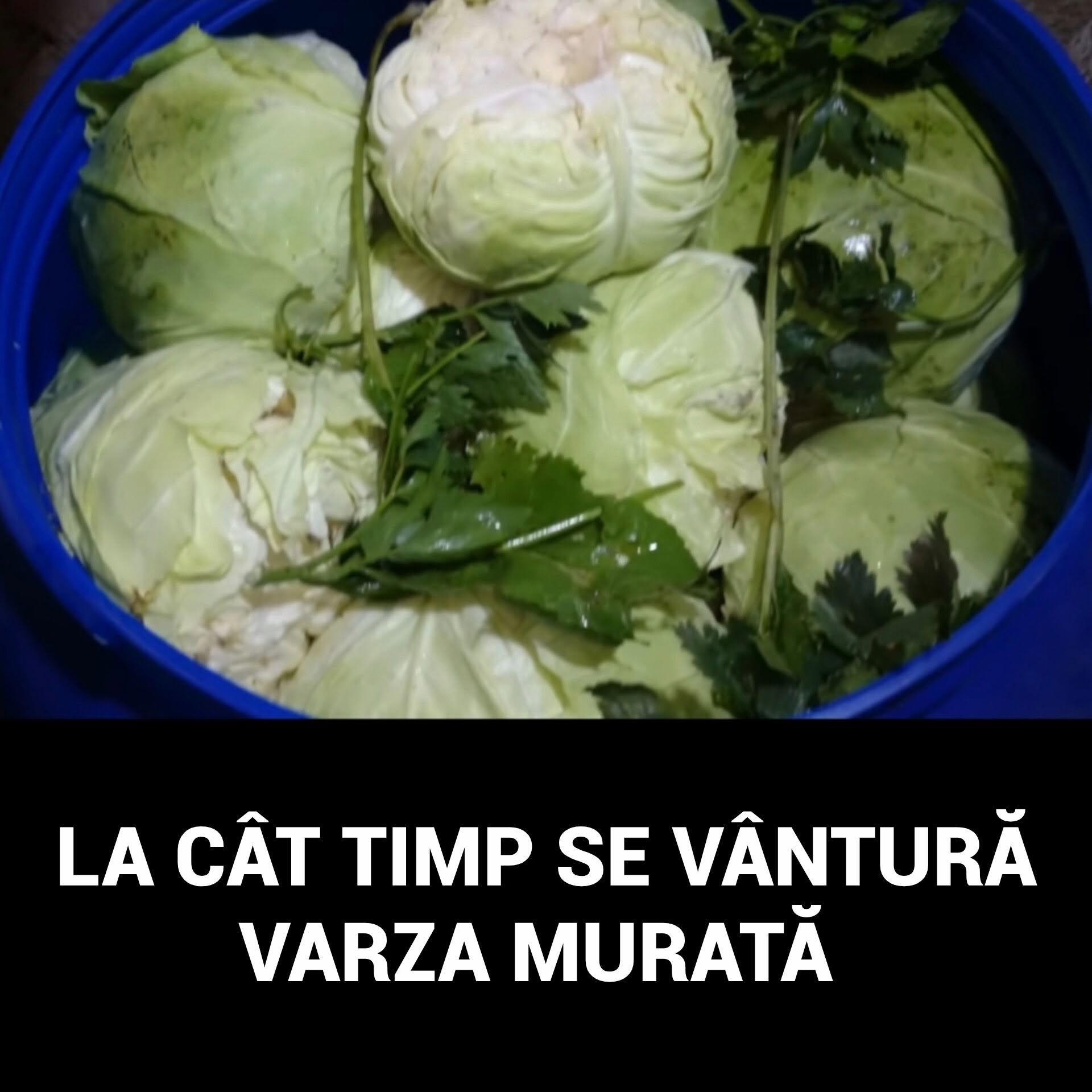 ATENȚIE la varza murată! Cât de des se VÂNTURĂ moarea și ce riști dacă omiți acest pas